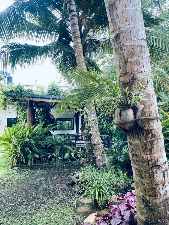 Nature Villa Unawatuna Galketiya Exteriör bild