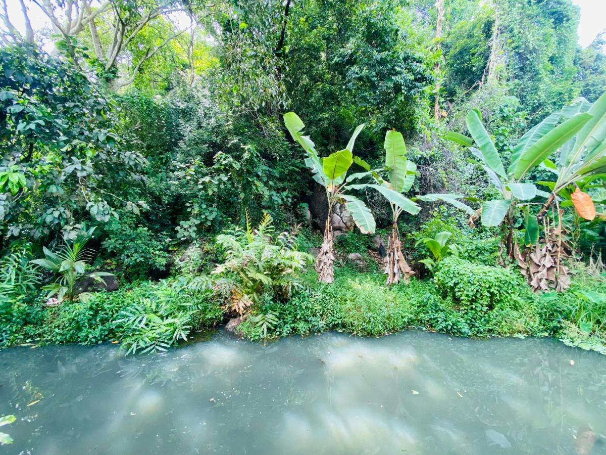 Nature Villa Unawatuna Galketiya Exteriör bild