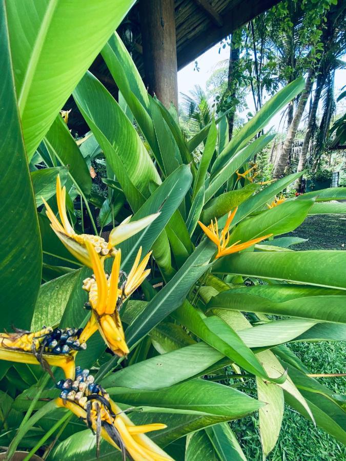 Nature Villa Unawatuna Galketiya Exteriör bild